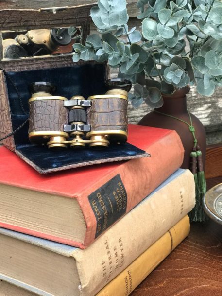 Antique German GebrNitschke Rathenow Plastvista MOD.0 Opera Glasses/Binoculars - Image 3