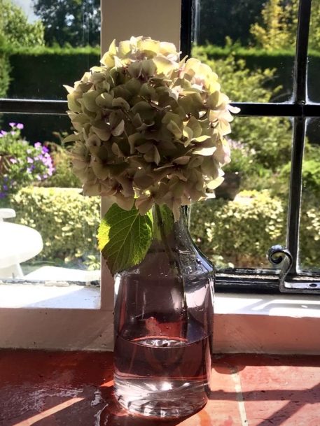 Apothecary Style Bottle Vase - Image 3