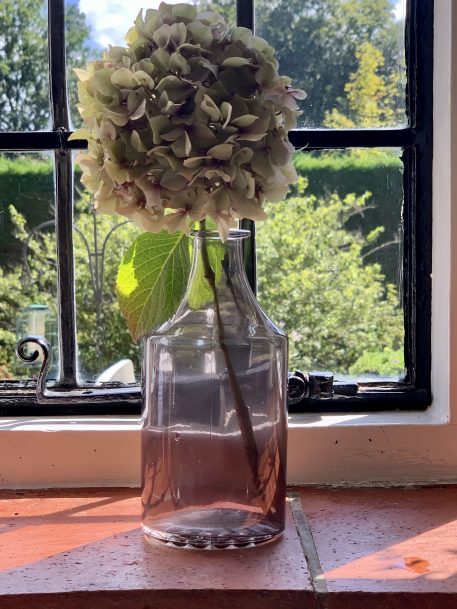 Apothecary Style Bottle Vase