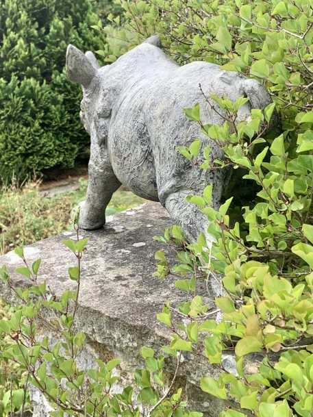 A contemporary figure of a Rhino (nicknamed Ryan) - Image 5