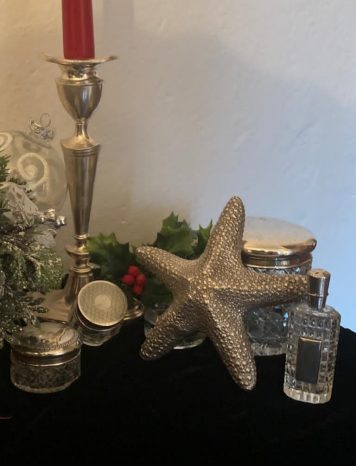 Silver Starfish