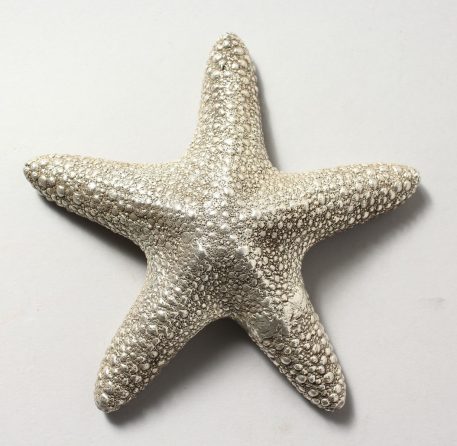 Silver Starfish - Image 3