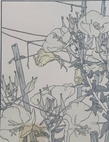 A Pair of Botanical Pochoir Prints J. Foord, c.1904, Art Nouveau period