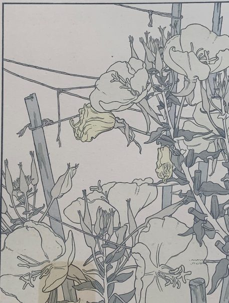 A Pair of Botanical Pochoir Prints J. Foord, c.1904, Art Nouveau period