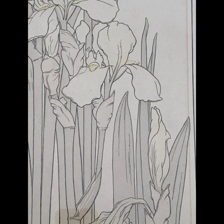 A Pair of Botanical Pochoir Prints J. Foord, c.1904, Art Nouveau period - Image 6