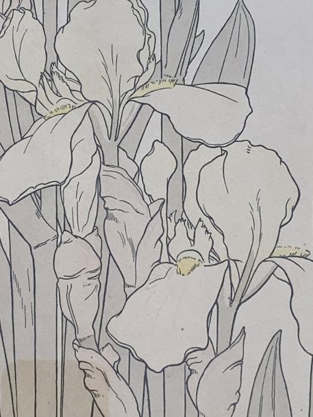 A Pair of Botanical Pochoir Prints J. Foord, c.1904, Art Nouveau period - Image 3