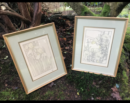 A Pair of Botanical Pochoir Prints J. Foord, c.1904, Art Nouveau period - Image 4