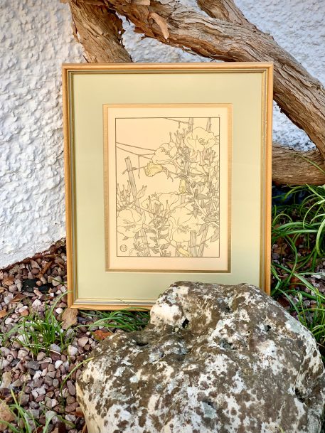 A Pair of Botanical Pochoir Prints J. Foord, c.1904, Art Nouveau period - Image 7