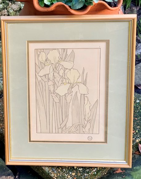 A Pair of Botanical Pochoir Prints J. Foord, c.1904, Art Nouveau period - Image 8