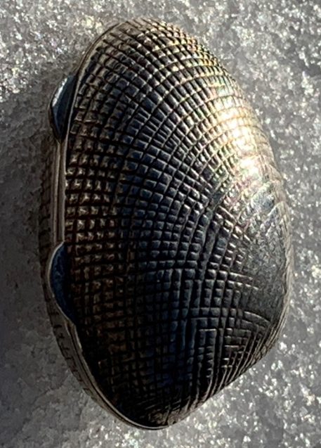 Sterling Silver Clam Shell Pill / Trinket Box, Hallmarked 925