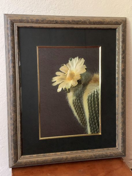 A Handmade Suzhou Embroidery of a Yellow Flowering Cactus