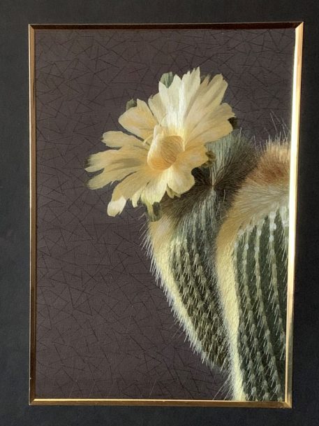 A Handmade Suzhou Embroidery of a Yellow Flowering Cactus - Image 3
