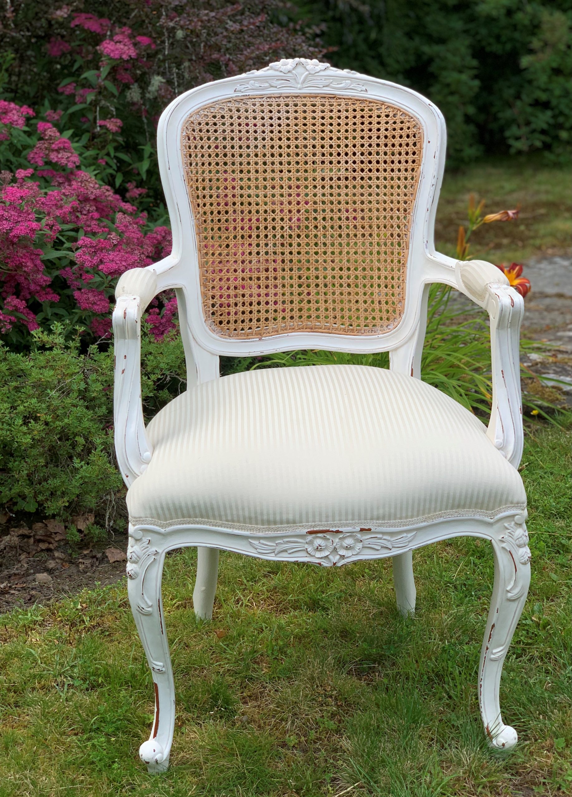 Louis cane back chair deals